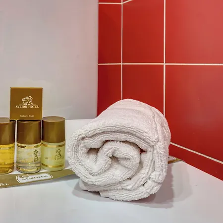 Avlion Boutique Hotel 2*