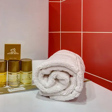 Avlion Boutique Hotel 2*
