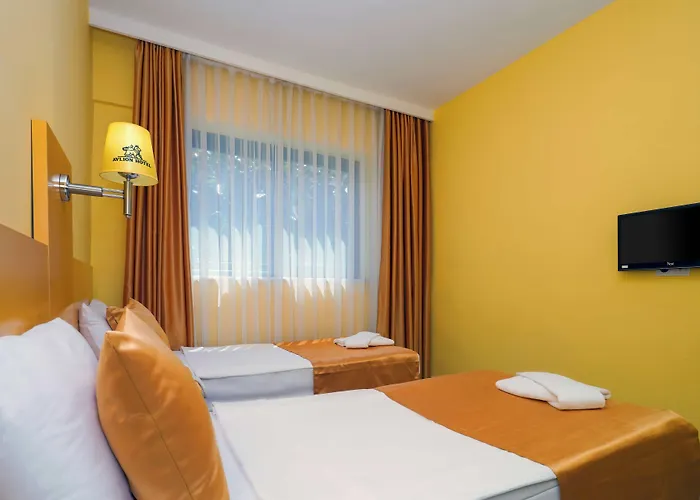 Hotel Avlion Boutique 2*